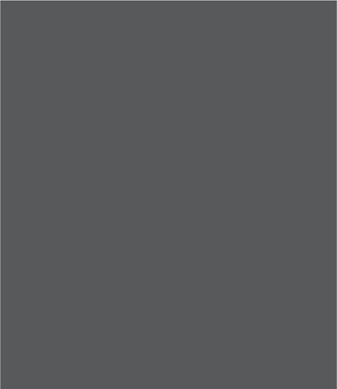 Thin Decorative Laminate for Doors
