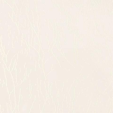 transparent white sheet
